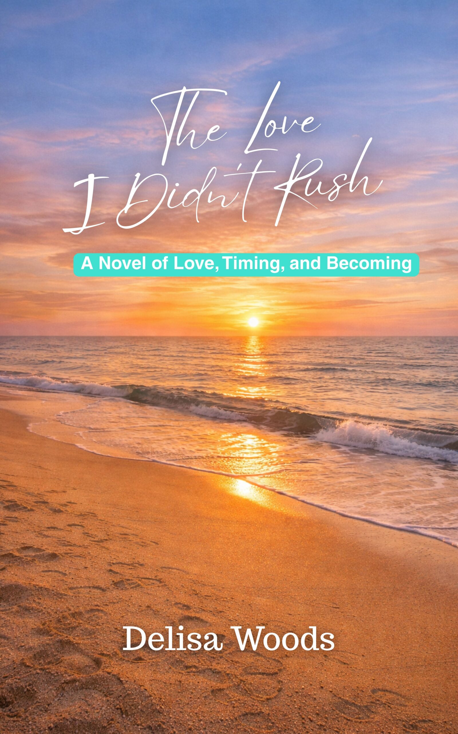 The Love I didn't Rush Book